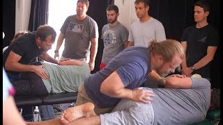 What is Syntropy Chiropractic Training all about? Net Worth