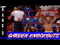 The 10 Greatest Knockouts at Madison Square Garden That Left Fans Going Crazy | TOP RANK'D