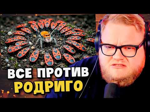 ПАУК РОДРИГО ПРОТИВ ДИКИХ НАСЕКОМЫХ С ЛЕСА / РЕАКЦИЯ T2x2