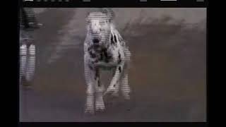 101 Dalmatians Tv Spot, 1996