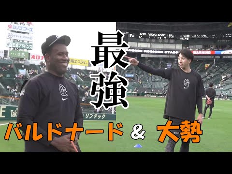 最強！バルドナード＆大勢