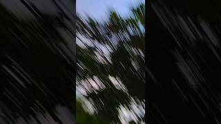 Download Lagu #vMaine Dil tujhko# Diya trending like philosopher kijiega is#funnyvideo MP3