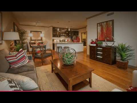 Video: Houston Apartments: The Ultimate Renters Guide