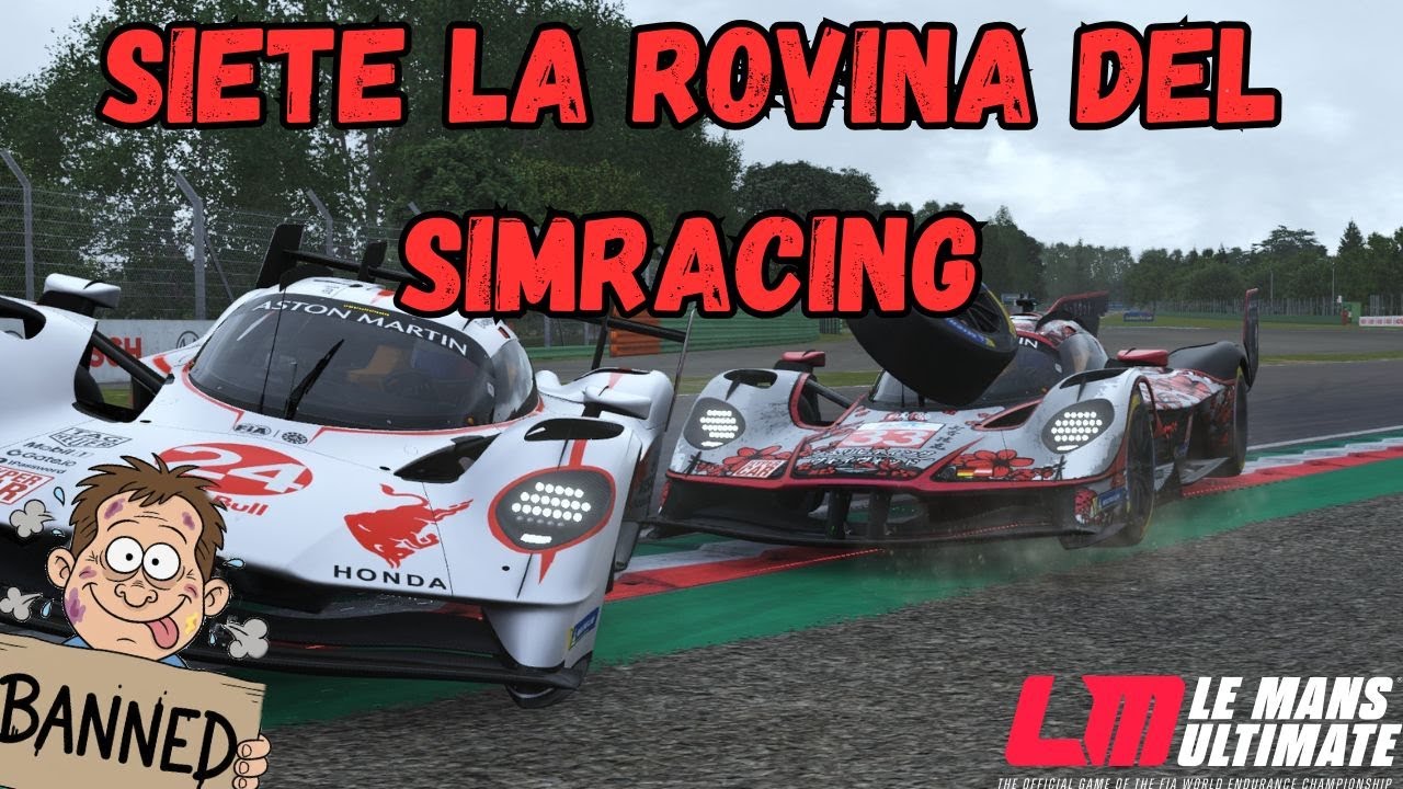VOI NON DOVETE PIU GIOCARE NEL SIM RACING. IDIOTI SERIALI SU LE MANS ULTIMATE