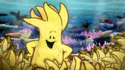 Coral Bleaching | Great Barrier Reef Marine Park Authority