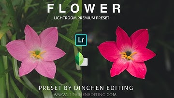 DSLR level photography with Mobile phone | snapseed and lightroom photo editing | #dinchenediting