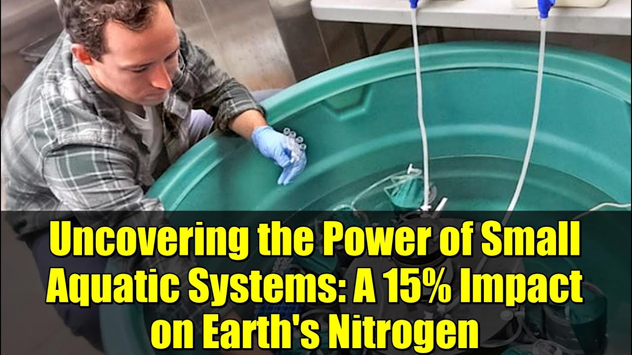 Uncovering the Power of Small Aquatic Systems: A 15% Impact on Earth's Nitrogen