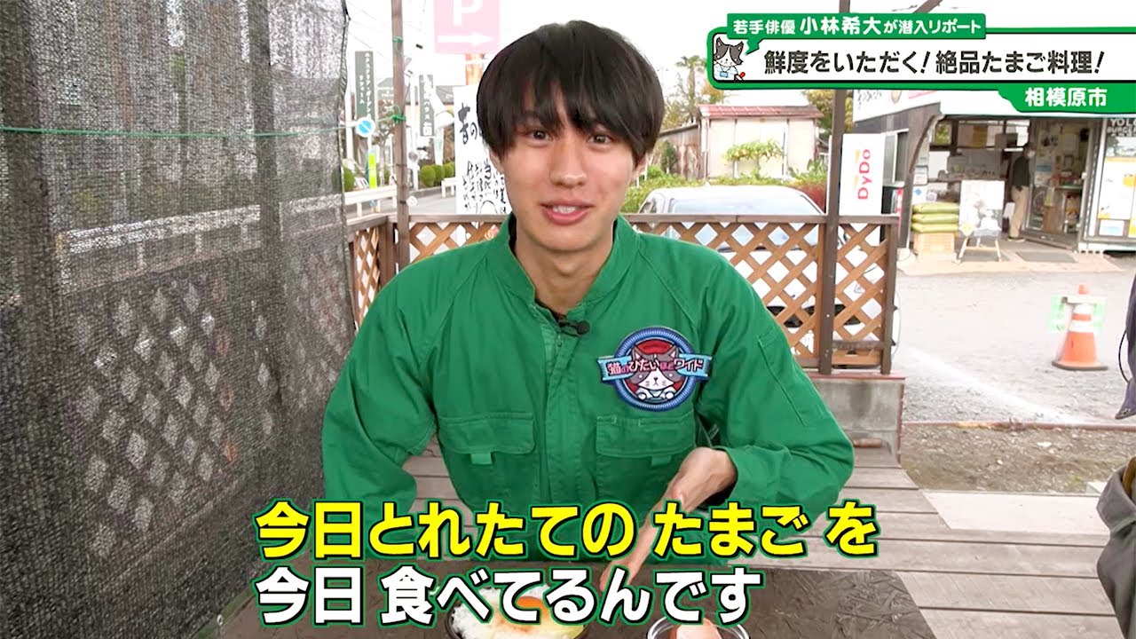 猫のひたいほどワイド #1339 潜入リポート・小林希大「鮮度をいただく