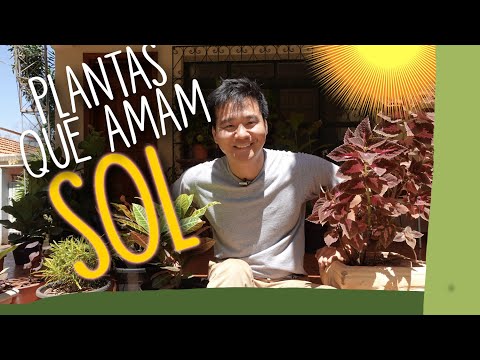 Vídeo: Fatos sobre plantas nativas - informações e dicas para usar plantas nativas em jardins