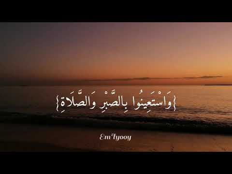 القارئ محمد اللحيدان واستعينوا بالصبر والصلاة وأنها لكبيرة إلا على الخاشعين سورة البقرة 