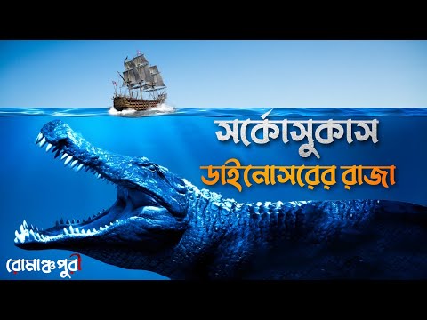 ভিডিও: বিশালাকার কুমির। পৃথিবীর সবচেয়ে বড় কুমির