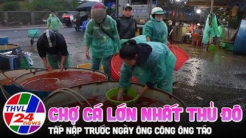 Chợ cá lớn nhất thủ đô tấp nập trước ngày Ông Công, Ông Táo