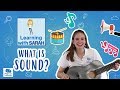 Understanding Sound