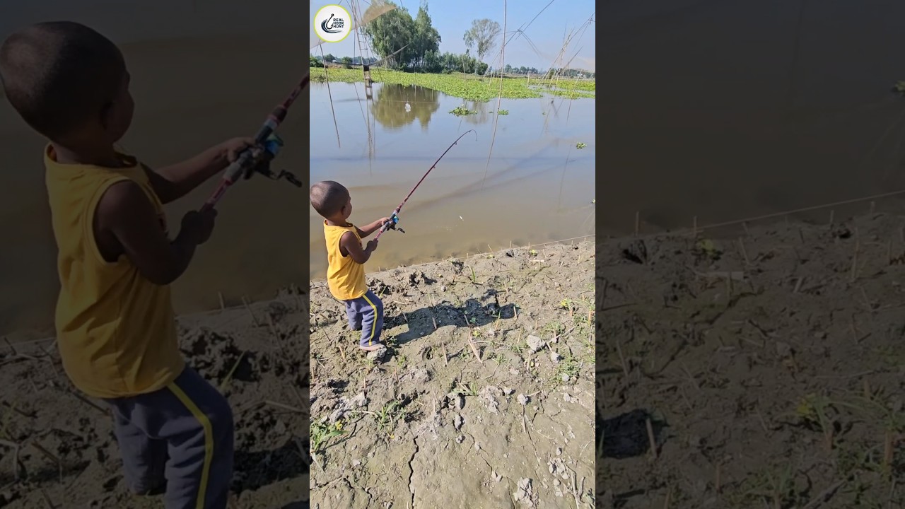 Hook Fishing | Best Hook Fishing In  Beel Water (Part-34) 