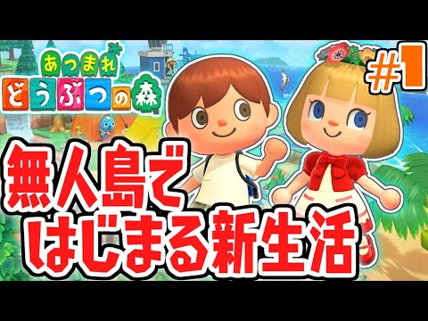 新要素を遊び尽くそう!!無人島で新生活が始まる!!気ままに実況Part1【あつまれどうぶつの森】