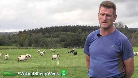 Developing a paddock grazing system - John O