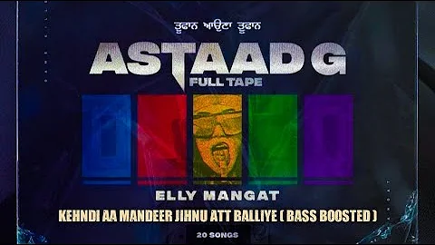 Kehndi Aa Mandeer Jihnu Att Balliye // Elly Mangat // Bass Boosted // New Punjabi Song 2021