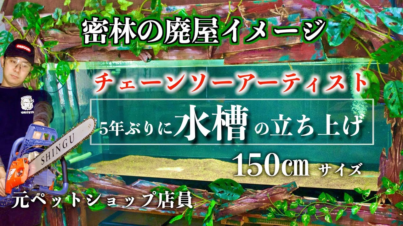 大型水槽150㎝]チェーンソーアーティストが水槽立ち上げ！装飾も気合