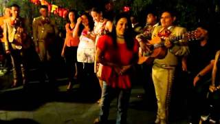 Cinco de Mayo 2011