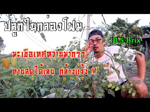 วีดีโอ: เงินฝากธนาคารคืออะไร? วิธีการเปิดเงินฝากที่มีกำไรในธนาคาร