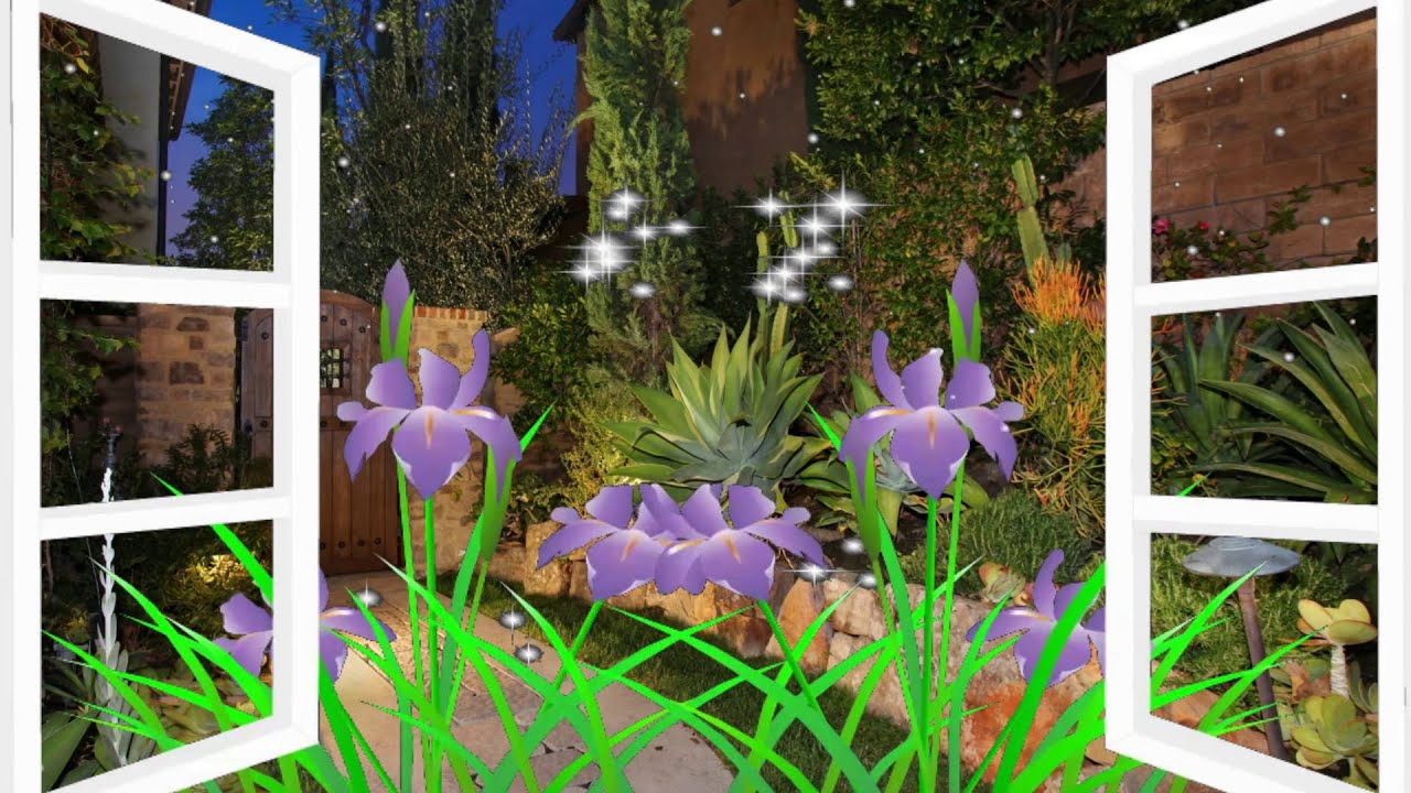 Футаж-Ночной сад - YouTube