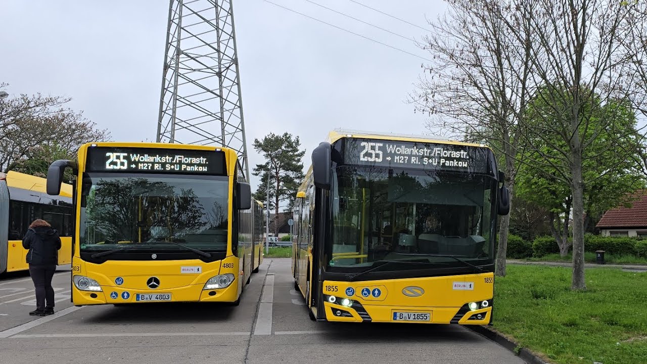 Berlin Bus|Einsetzermitfahrt #6 auf dem 255/M27 von Schwarzelfenweg bis Hadlichstraße