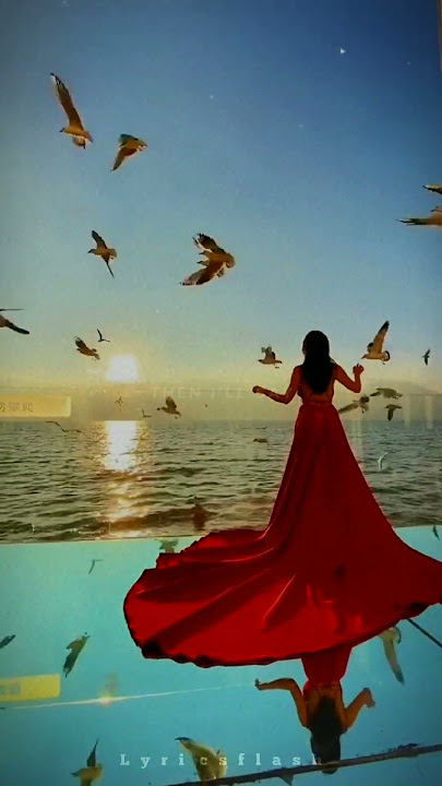 Pure love - Arash #lyricsstatus #music #edit #shorts #purelove