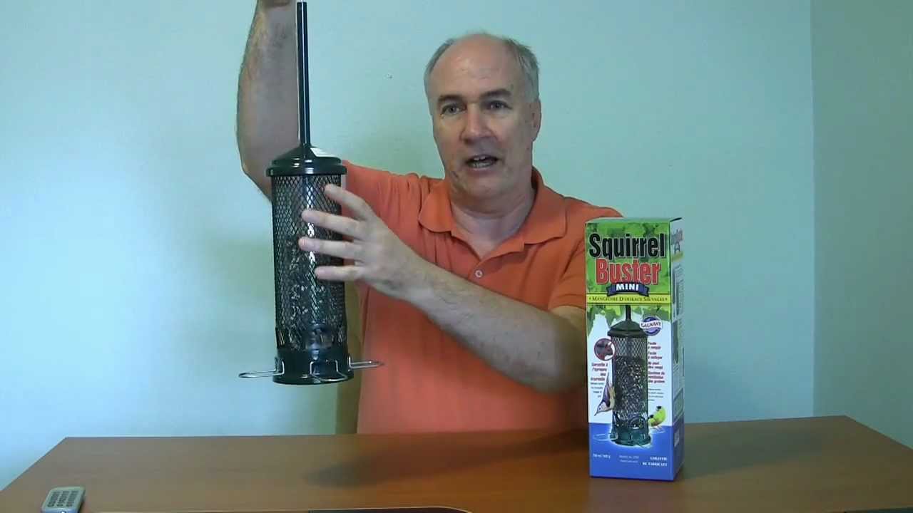 Bird feeder that birds love (and squirrels hate)
