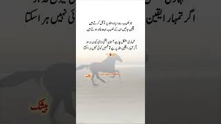 Islamic lines 🕊️💞#islamicvideo #islamicshorts #muslimcontent #islamicwisdom #unfrezzmyaccount #line