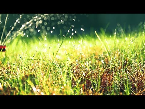 Krcanisis Tkupebi-კრწანისის ტყუპები  Alazana production-ის ნამუშევრებიდან