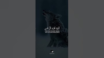 ( اليوم تجزى كل نفس بما كسبت لا ظلم اليوم إن الله سريع الحساب ) || بصوت القارئ يوسف الصقير