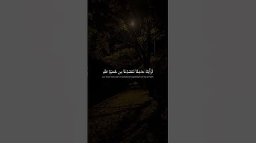 لَو أَنزَلنا هذَا القُرآنَ عَلى جَبَلٍ ｜ محمد صديق المنشاوي ｜ سورة الحشر
