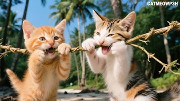 Missed the Flight, Stranded on the Island_ Ginger and MooMoo s Kindness Brings an Unexpected Reward