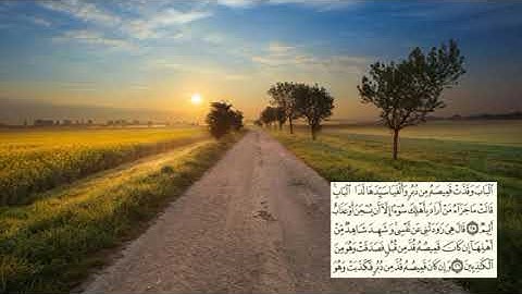 صفحة-238- page سعد الغامدي - -سورة يوسف -Joseph (Yusuf)12
