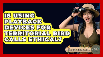 Is Using Playback Devices For Territorial Bird Calls Ethical? - Bird Watching Diaries