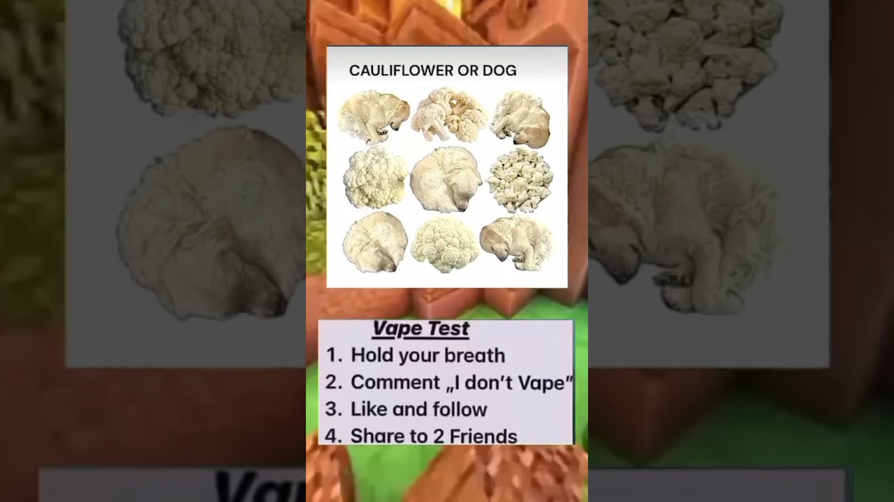 What S Your Answer Memes