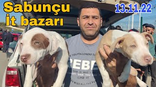 Sabunçu İT bazarı 13.11.22 #mubarizemintv #sabuncuitbazari #sabuncutoyuqbazari