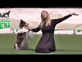 Julie freestyle deutsche meisterschaft 2021 dogdance freestyle