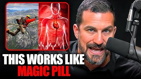 The Ugly Truth Of Adrenaline | Andrew Huberman