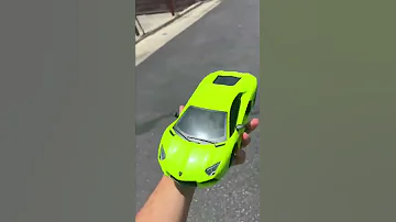 WHEN THE LITTLE LAMBORGHINI COMES TO LIFE Shorts 