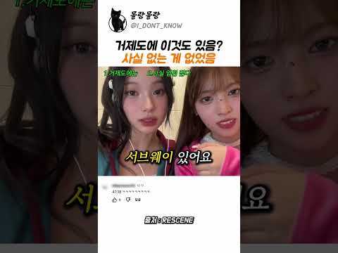 거제도에믄 없는게 없음 thumbnail