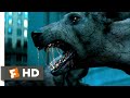 Sam Vs Zombie Dogs Fighting Scenes I Am Legend 2007 Movie Clip HD Sam Vs Zombie Dogs Fighting Scenes I Am Legend 2007 Movie Clip HD