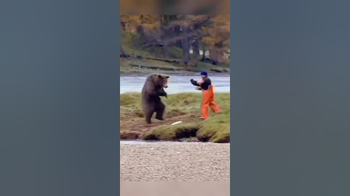 Brave farmer Fights With Bear ## 😭🤭❗❗❗❗ - DayDayNews