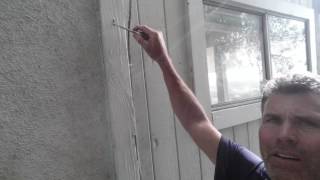 Finding Hidden Termite Damage