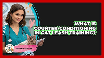 What Is Counter-conditioning In Cat Leash Training? - Happy Cat Handbook