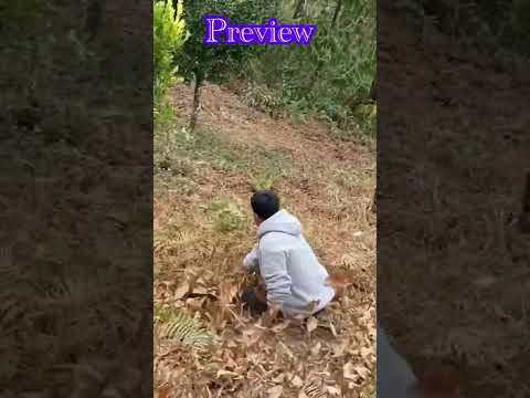 watch full video → https://youtu.be/QtqBhJrb_sQ?si=kUsr2otoXxHhzxt5 #song #music #trendingshorts