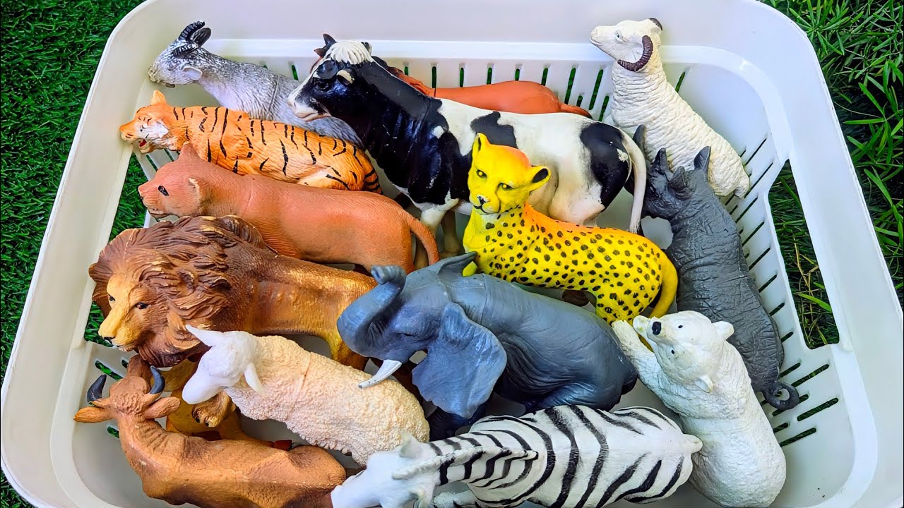 Wild & Farm Animals for Kids | Learn English Vocabulary for Toddlers | Fun Educational Video