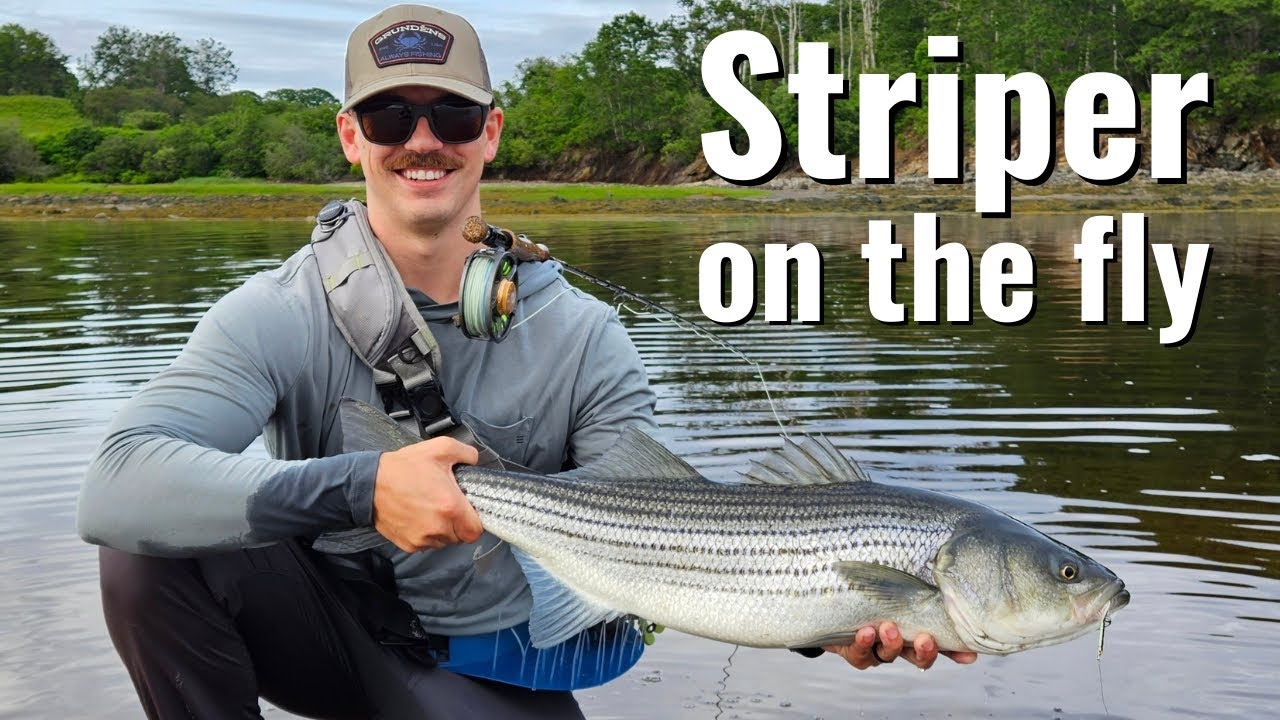 My First Time Fishing For Striper On The Fly 