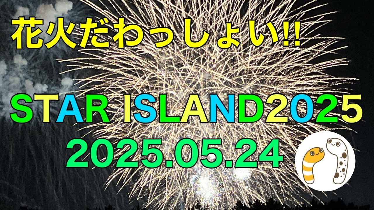 STAR ISLAND 2025 お台場花火 ライブ配信アーカイブ サムネイル