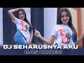 DJ SEHARUSNYA AKU - PALING ENAK BUAT CEK SOUND